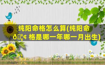 纯阳命格怎么算(纯阳命 🦢 格是哪一年哪一月出生)